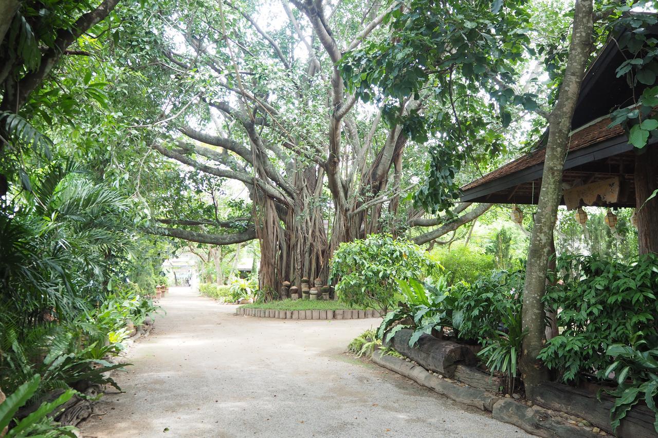 Khum Khun Wang Resort Mae Wang Exterior photo